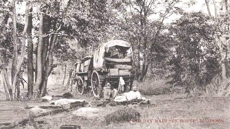 Original Photo of Ox Wagon in Rhodesia